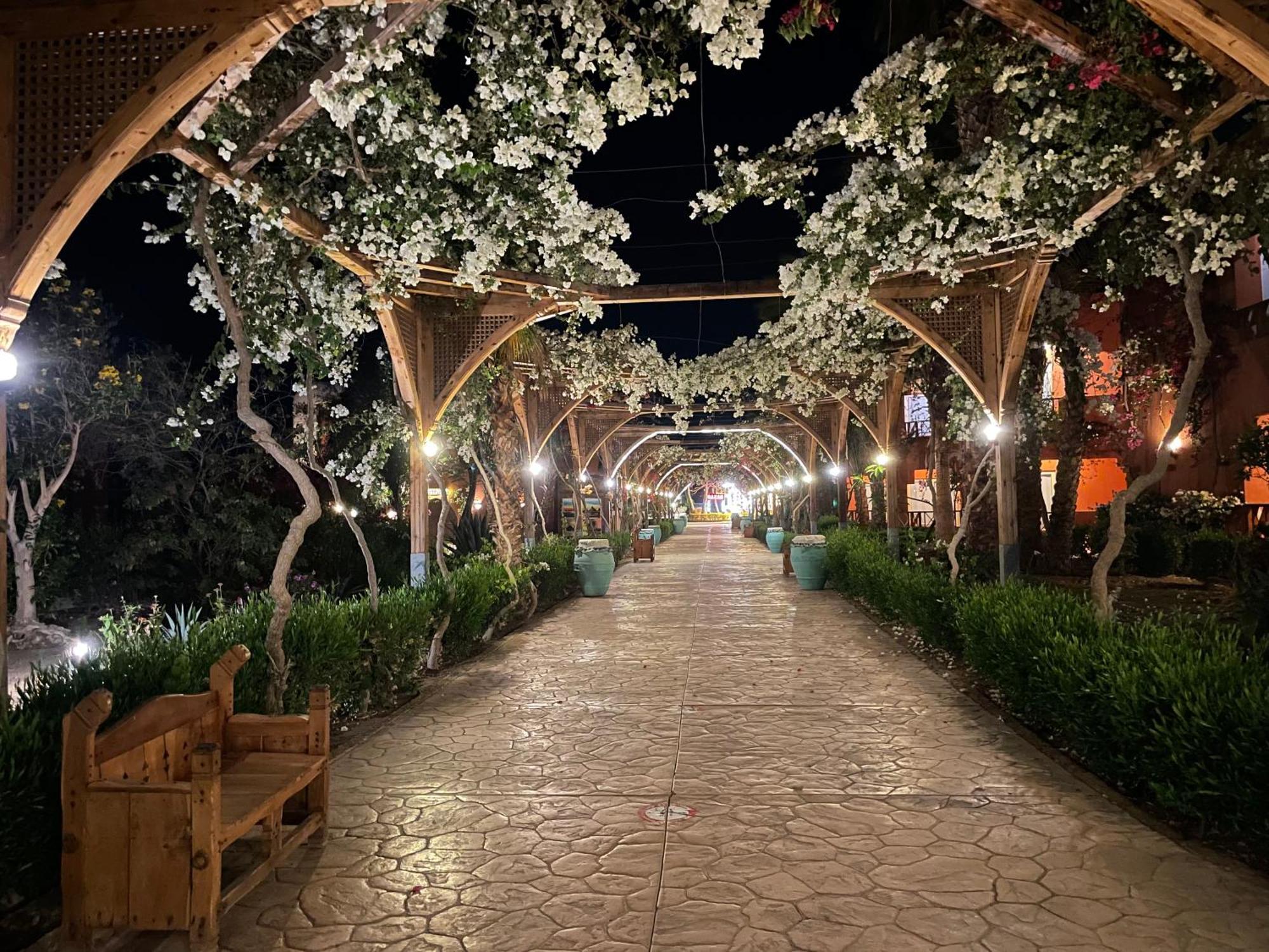 Soulotel Emerald Resort & Spa Marsa Alam Εξωτερικό φωτογραφία