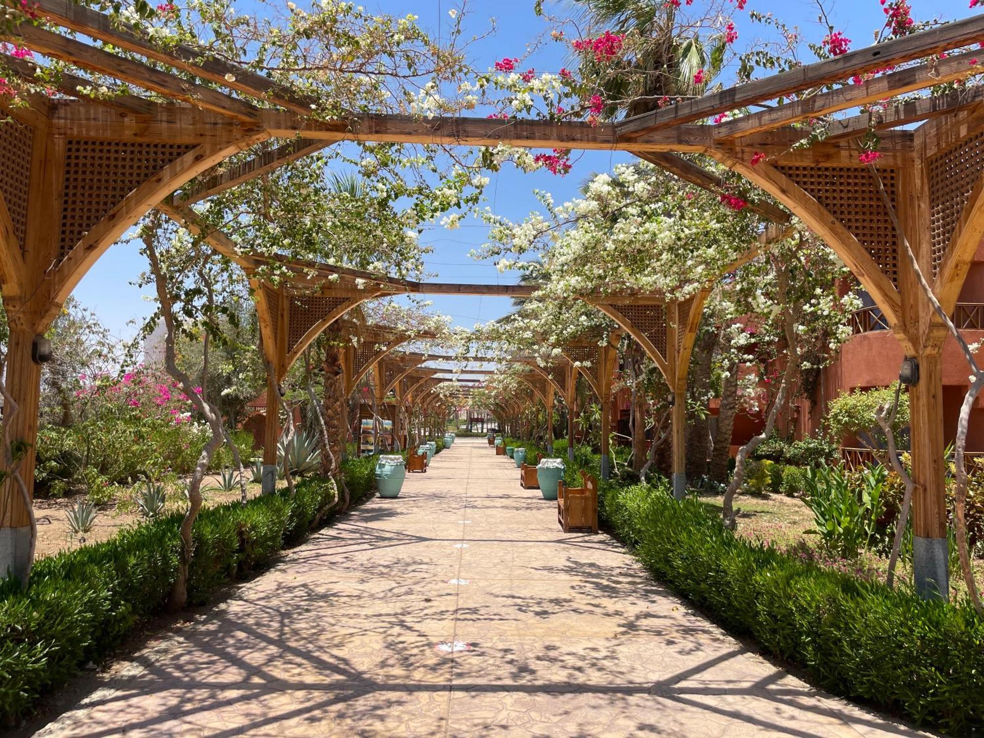 Soulotel Emerald Resort & Spa Marsa Alam Εξωτερικό φωτογραφία